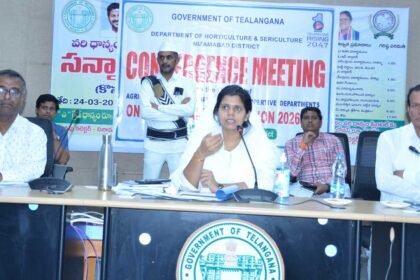 Oil Palm Cultivation |