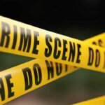 Mother Attack Children