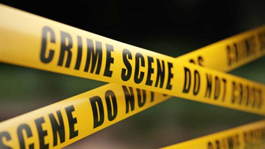 Mother Attack Children