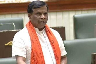 Six Guarantees Legal Status |