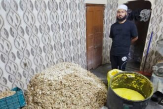 Adulterated Ginger Garlic Paste