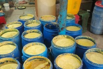 Fake ginger garlic paste