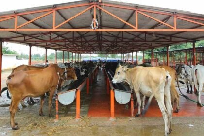 Hyderabad Gosala Project