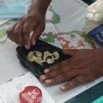 Leopard claws case |