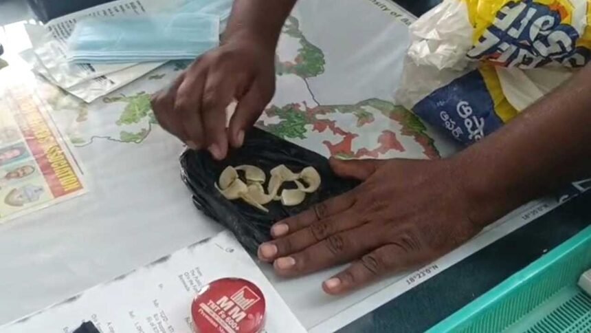 Leopard claws case |