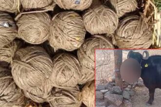 Country Bomb Incident |