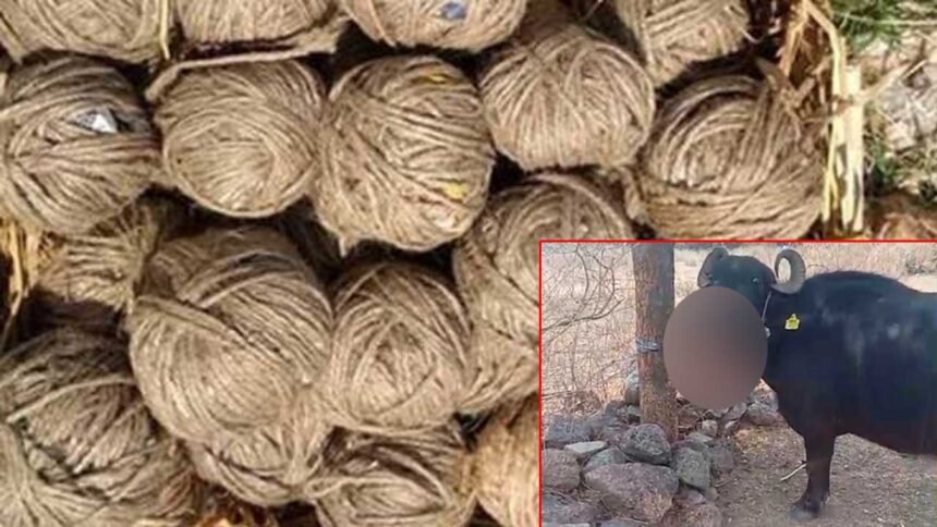 Country Bomb Incident |