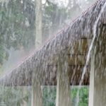 Telangana Heavy Rains