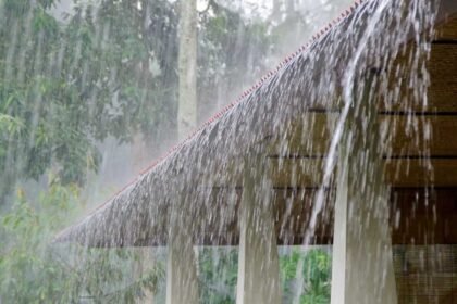 Telangana Heavy Rains