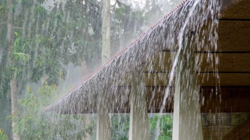 Telangana Heavy Rains
