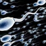 spermquality