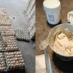 Food Adulteration Raids