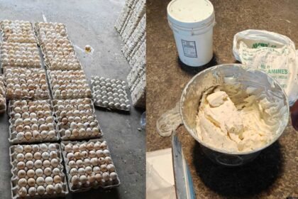 Food Adulteration Raids