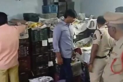 Artificial Mango Ripening