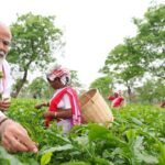 Assam Uniform Civil Code