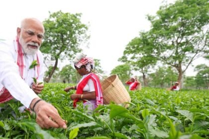 Assam Uniform Civil Code