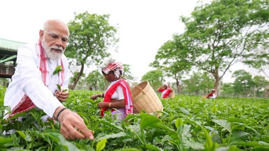 Assam Uniform Civil Code