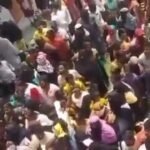 Government School Admissions