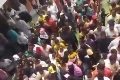 Government School Admissions