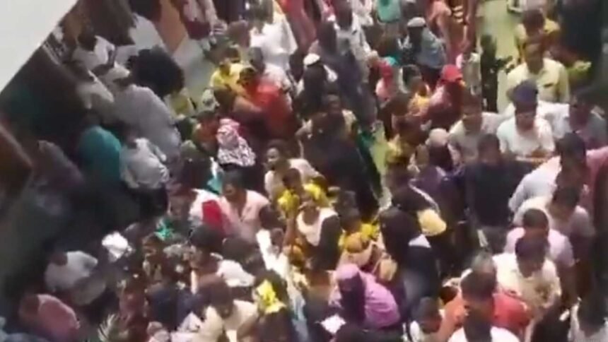 Government School Admissions