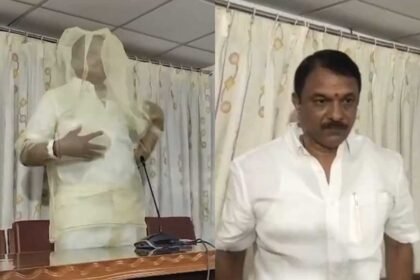 Hyderabad Mosquito Menace