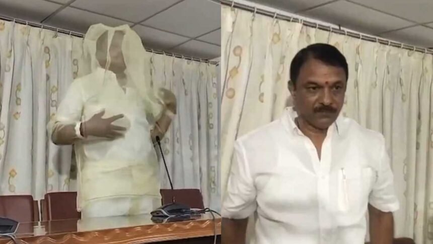 Hyderabad Mosquito Menace