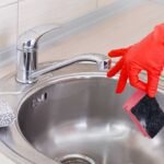 Kitchen Sponge Bacteria