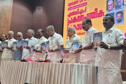 LDF Manifesto