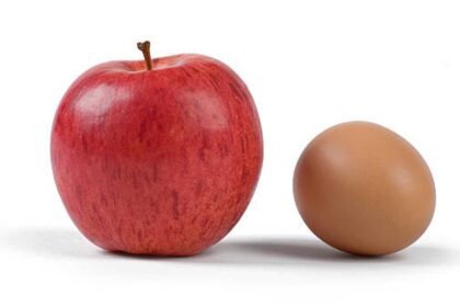 Ladakh Donation Auctions