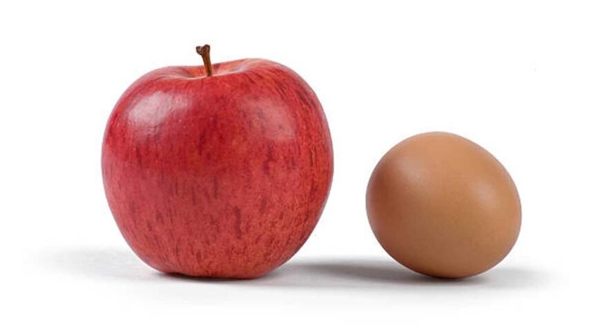 Ladakh Donation Auctions