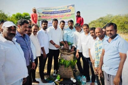 Paddy Procurement Centers