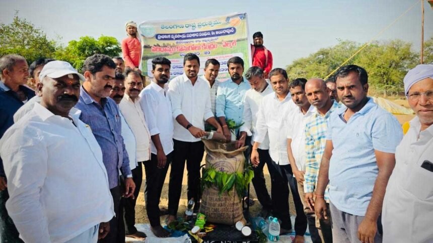 Paddy Procurement Centers