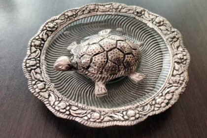 Vastu Tortoise