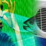 Cooler Smell Problem | కూలర్ నుంచి దుర్వాసన వస్తోందా.. ఈ చిన్న తప్పులే కారణం!