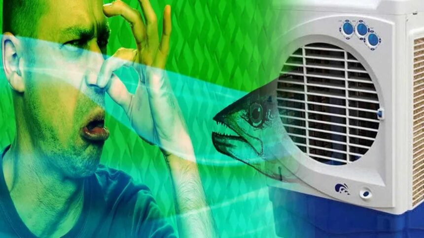 Cooler Smell Problem | కూలర్ నుంచి దుర్వాసన వస్తోందా.. ఈ చిన్న తప్పులే కారణం!