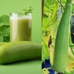 Bottle Gourd Benefits | ఒంట్లో కొవ్వును వెన్నలా కరిగించే సూపర్ ఫుడ్..
