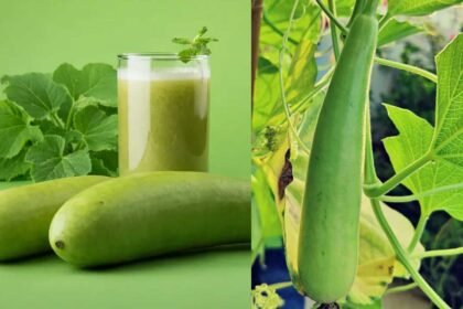 Bottle Gourd Benefits | ఒంట్లో కొవ్వును వెన్నలా కరిగించే సూపర్ ఫుడ్..