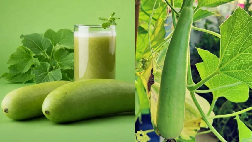 Bottle Gourd Benefits | ఒంట్లో కొవ్వును వెన్నలా కరిగించే సూపర్ ఫుడ్..