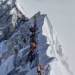 Everest Insurance Scam