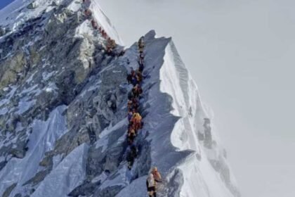 Everest Insurance Scam