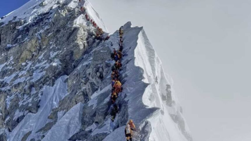 Everest Insurance Scam