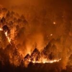 Nallamala Forest Fire | మహానంది నల్లమలలో భారీ కార్చిచ్చు.. వన్యప్రాణుల మనుగడకు ముప్పు!