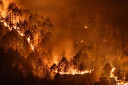 Nallamala Forest Fire | మహానంది నల్లమలలో భారీ కార్చిచ్చు.. వన్యప్రాణుల మనుగడకు ముప్పు!