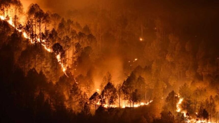 Nallamala Forest Fire | మహానంది నల్లమలలో భారీ కార్చిచ్చు.. వన్యప్రాణుల మనుగడకు ముప్పు!