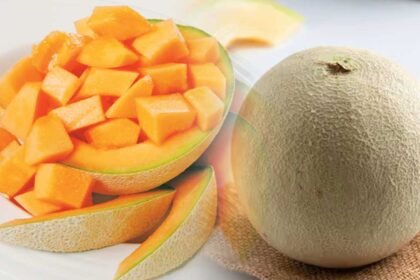 Muskmelon