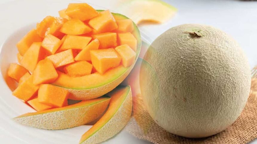 Muskmelon