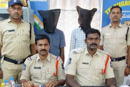 Alprazolam Seizure Case