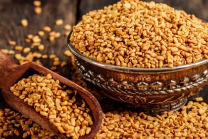 Fenugreek | చేదు మెంతుల్లో దాగున్న తీపి ప్రయోజనాలు!