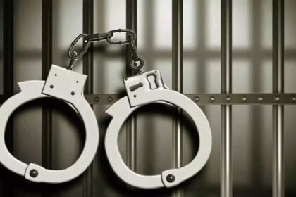 Microfinance Fraud Arrest