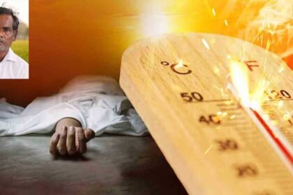 Farmer Heat Stroke |